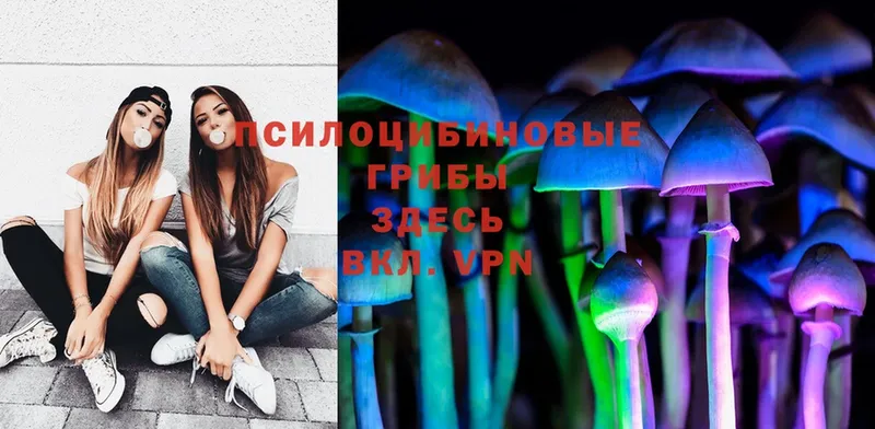 Псилоцибиновые грибы MAGIC MUSHROOMS  Алагир 